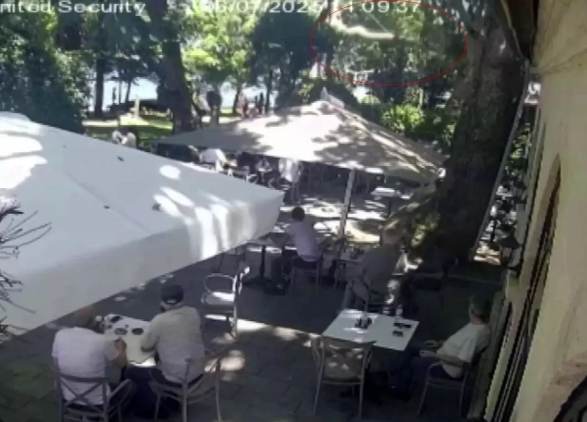 Gölcük'te Çınar Ağacından Düşen Dal Bir Can Aldı