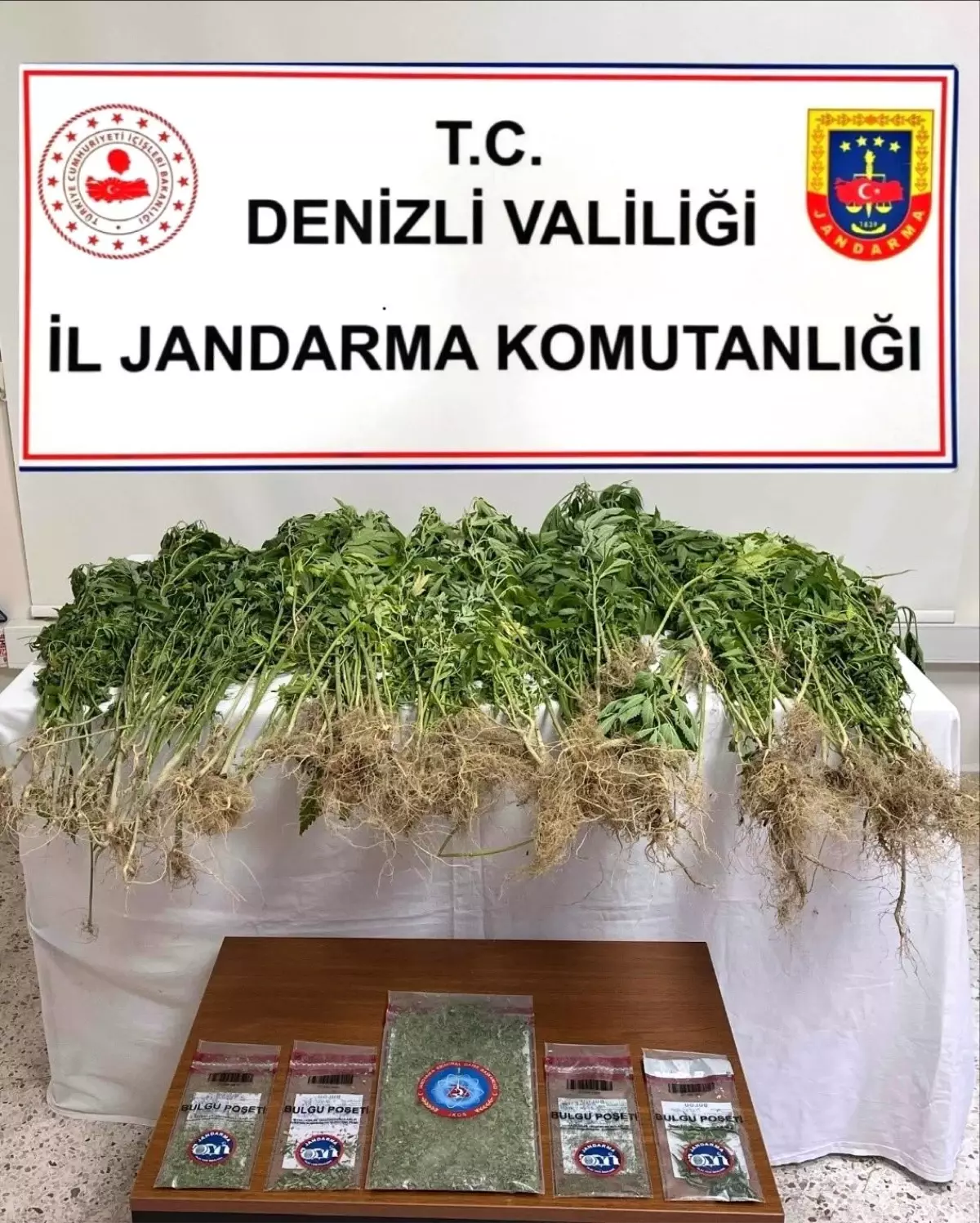 Denizli'de Narkotik Operasyonu: Uyuşturucu Madde ve Kenevir Ele Geçirildi