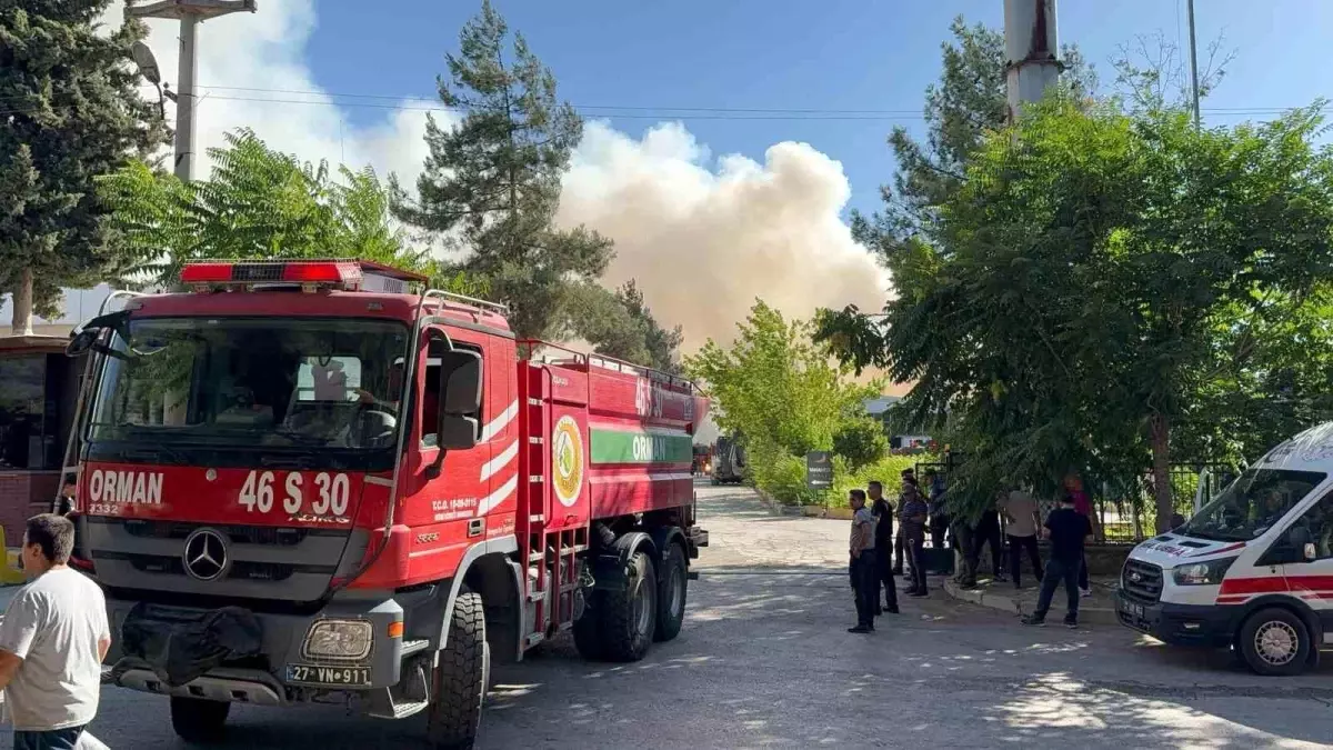 Gaziantep'te Halı Fabrikasında Yangın Çıktı