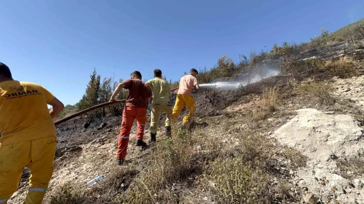 İskenderun'da Orman Yangını Kontrol Altına Alındı