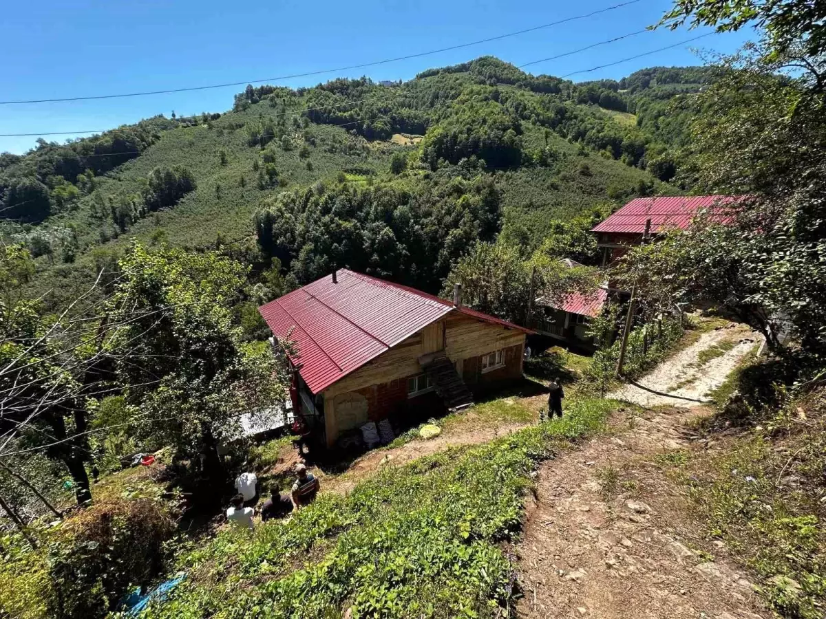 Ordu'ya şehit ateşi düştü