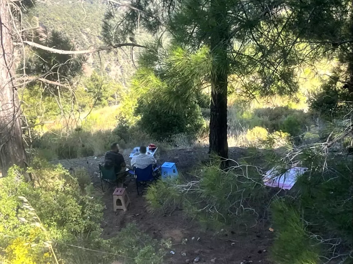 Mersin'de Yasak Olmasına Rağmen Ormanda Piknik Yapan 4 Kişi Yakalandı