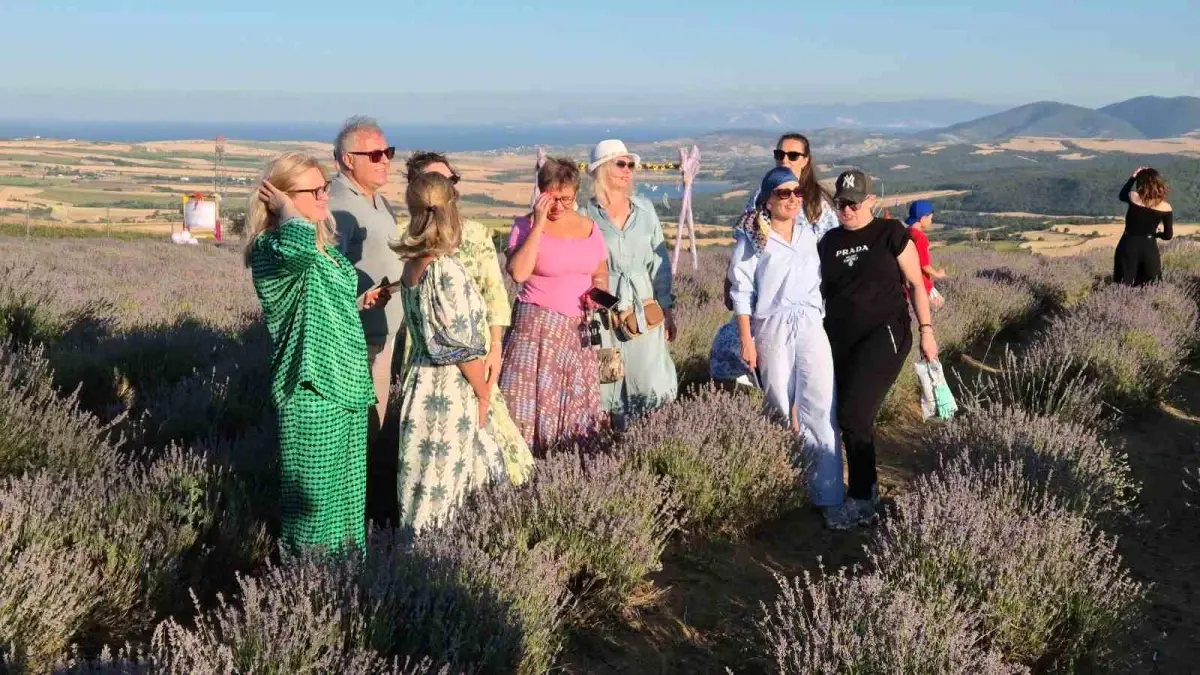 Süleymanpaşa'nın Mor Lavanta Tarlaları, Rus Turistlerin Gözdesi Oldu