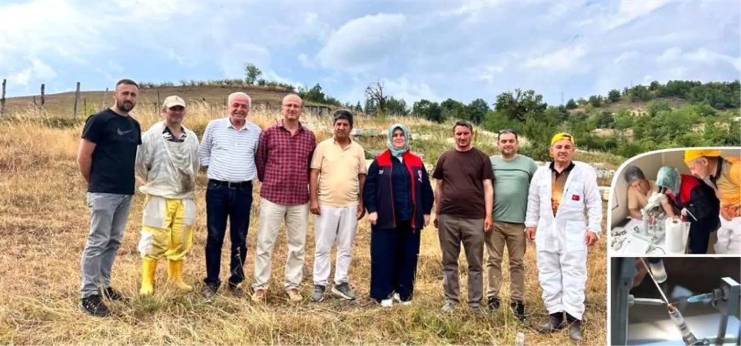 Yığılca Arı Islah Merkezi'nde Bilimsel Çalışmalar İlerliyor