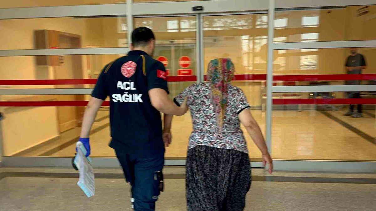 Yılan Isırdı, Kadın Hastaneye Kaldırıldı