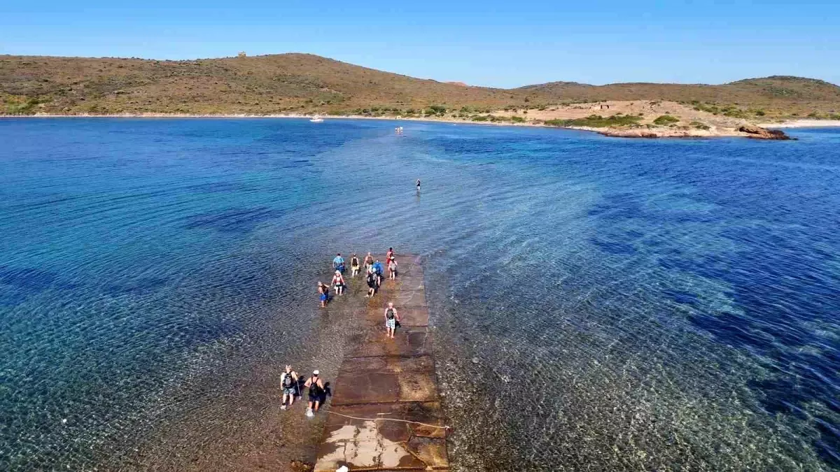 Cunda Adası'ndan Maden Adası'na Eşsiz Deniz Yürüyüşü Etkinliği