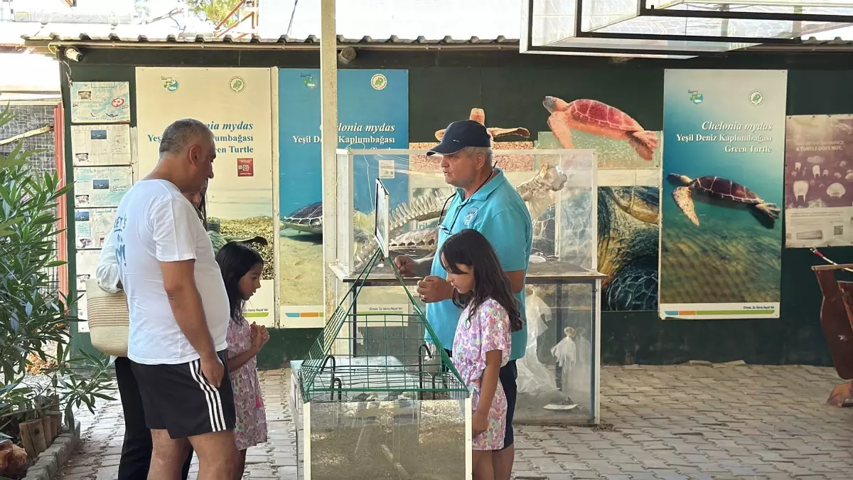 Deniz Kaplumbağaları Müzesi, Turistlerin İlgi Odağı