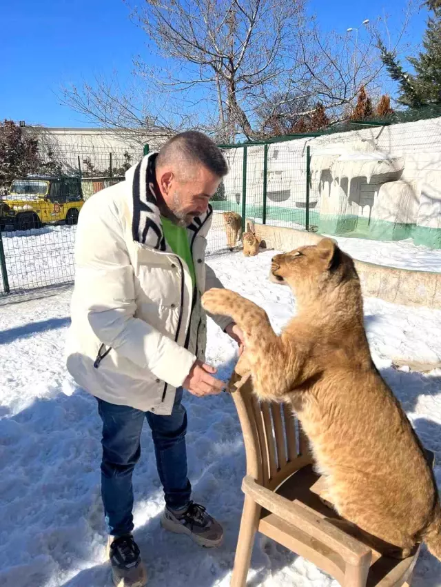 Incredible defense from the owner of the lion that attacked the farmer