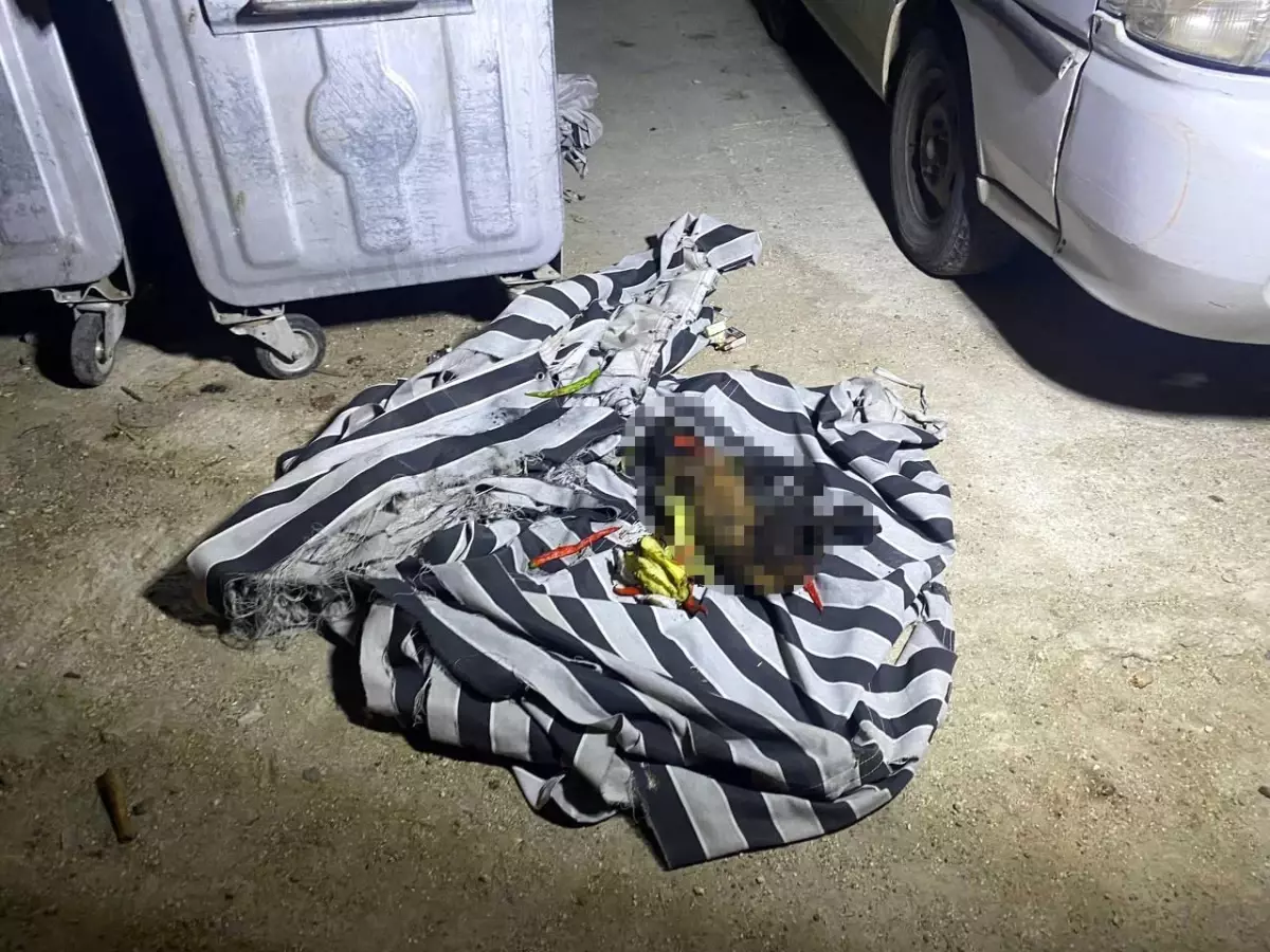 Antalya'da Çöp Konteynerinde Yangın: Telef Olan Köpek Bulundu