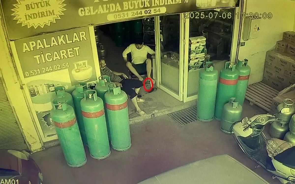 Antalya'da Tüpçü Dükkanında Yılan Panik Yaratıp Kaçırdı