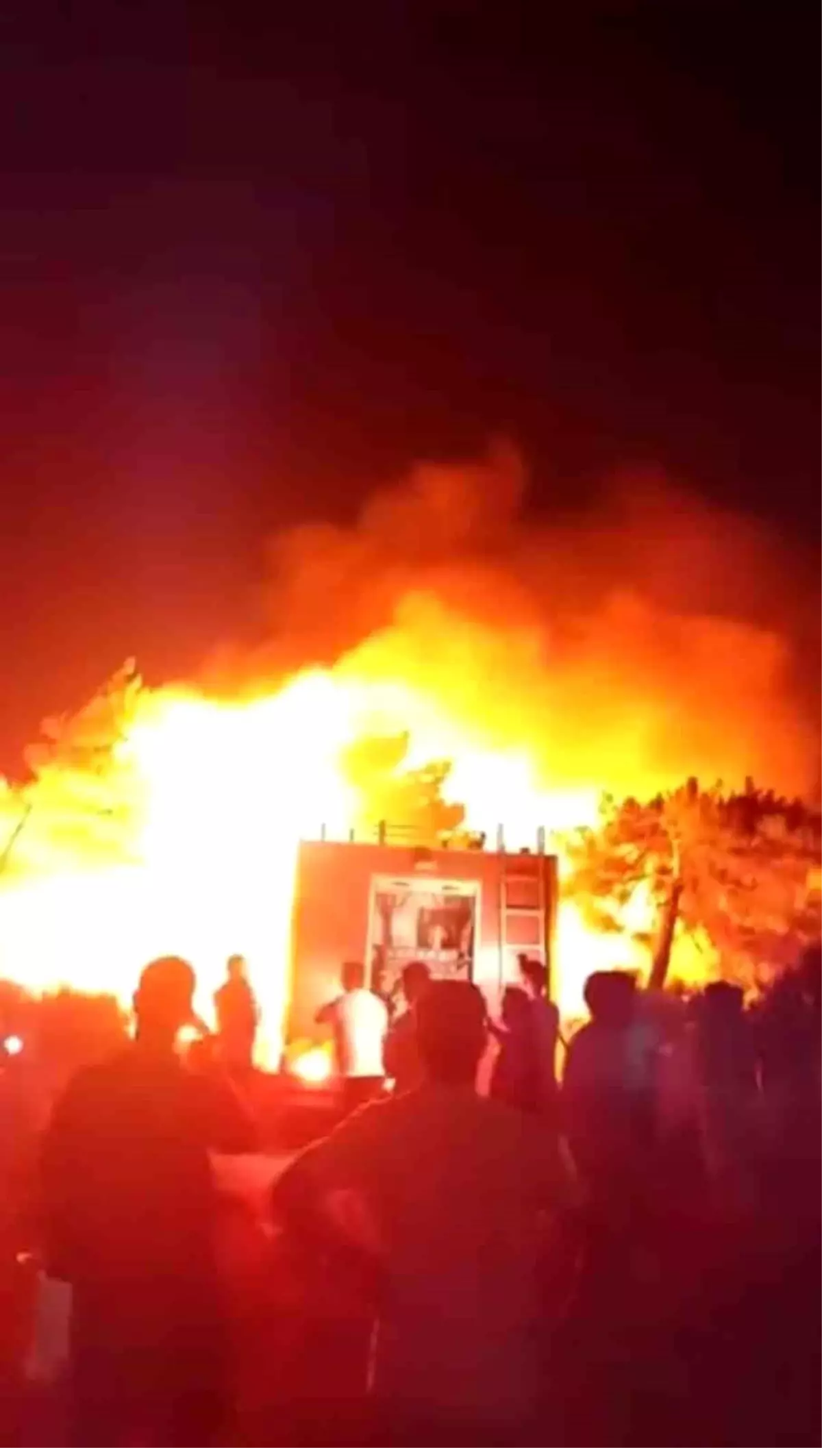 Samandağ'da Orman Yangınına İtfaiye Müdahalesi