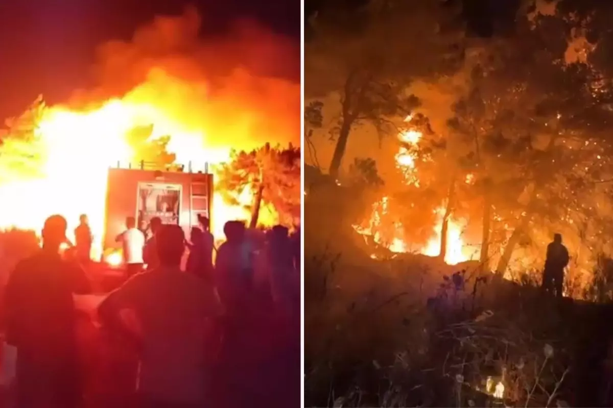 Hatay'da ormanlık alanda yangın çıktı