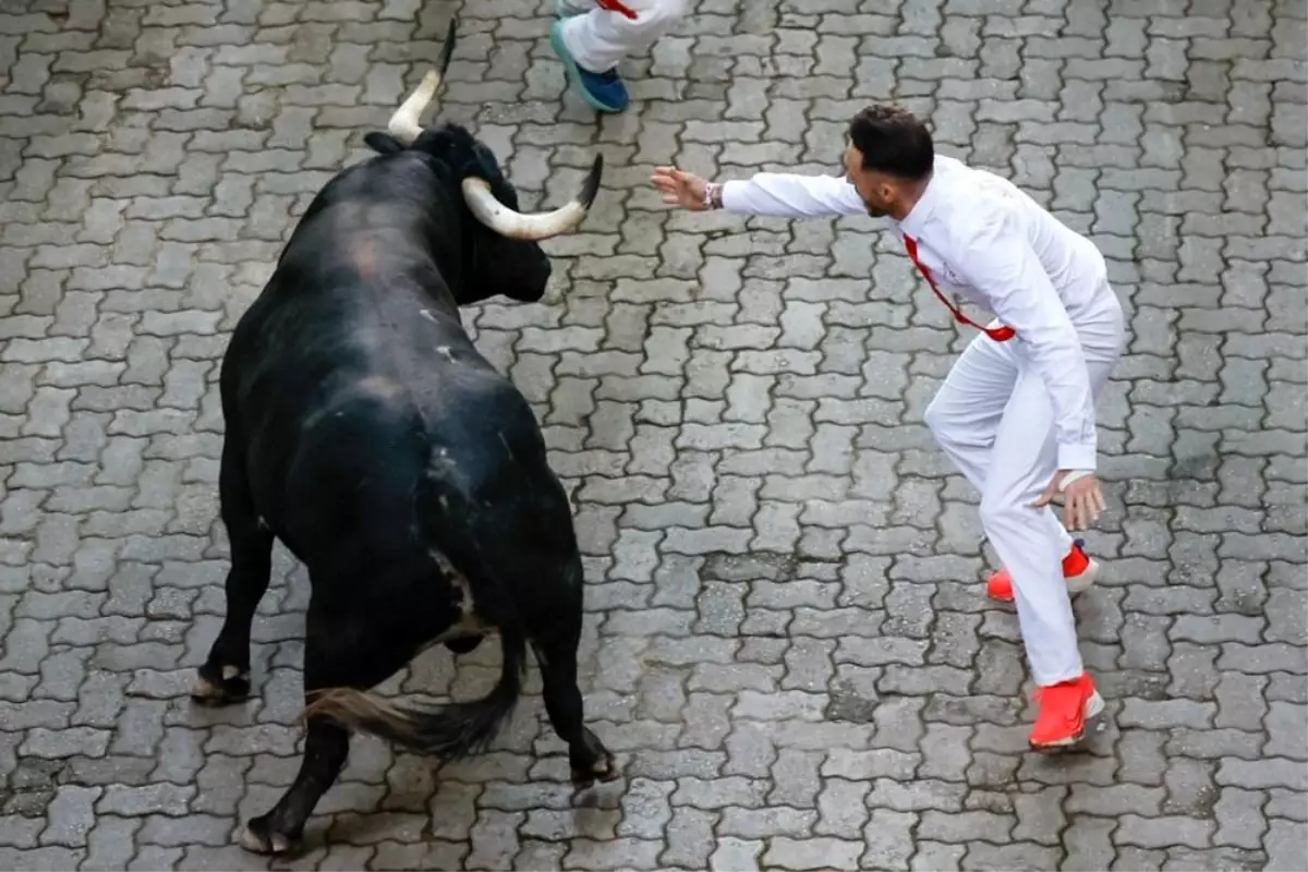 San Fermin Festivali'nde Boğa Koşusunda 8 Yaralı