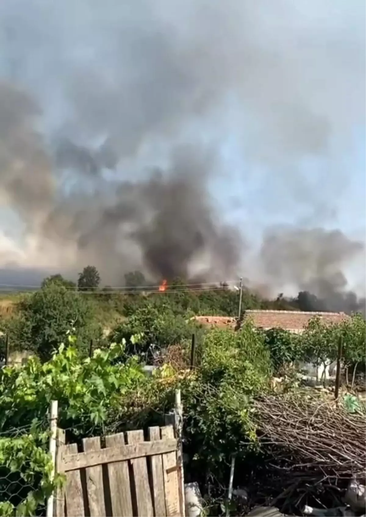 Edirne'de Tarladan Ormana Sıçrayan Yangın Korku Dolu Anlar Yaşattı