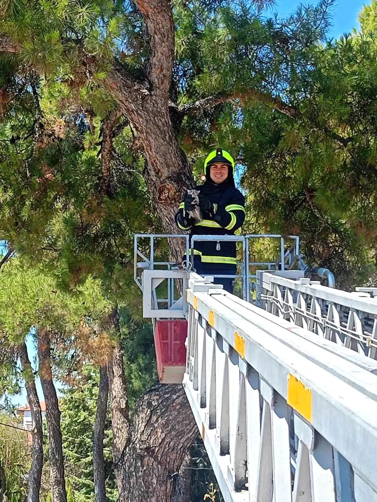 Balıkesir'de İtfaiye Ekipleri İki Kedi Kurtardı