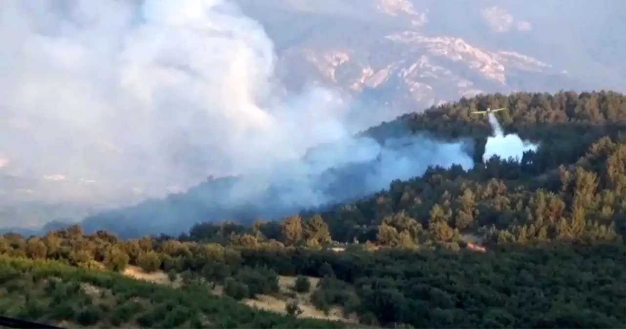 Çanakkale'nin Bayramiç İlçesinde Orman Yangını