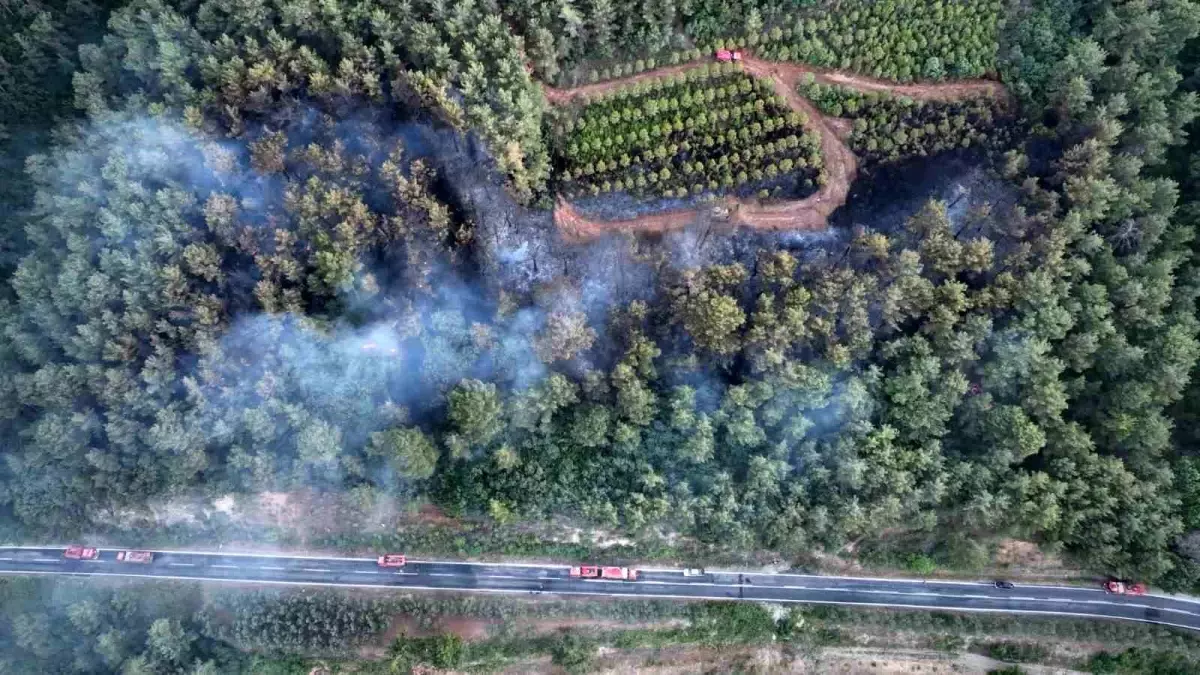 Çanakkale'de Orman Yangını Kontrol Altına Alındı