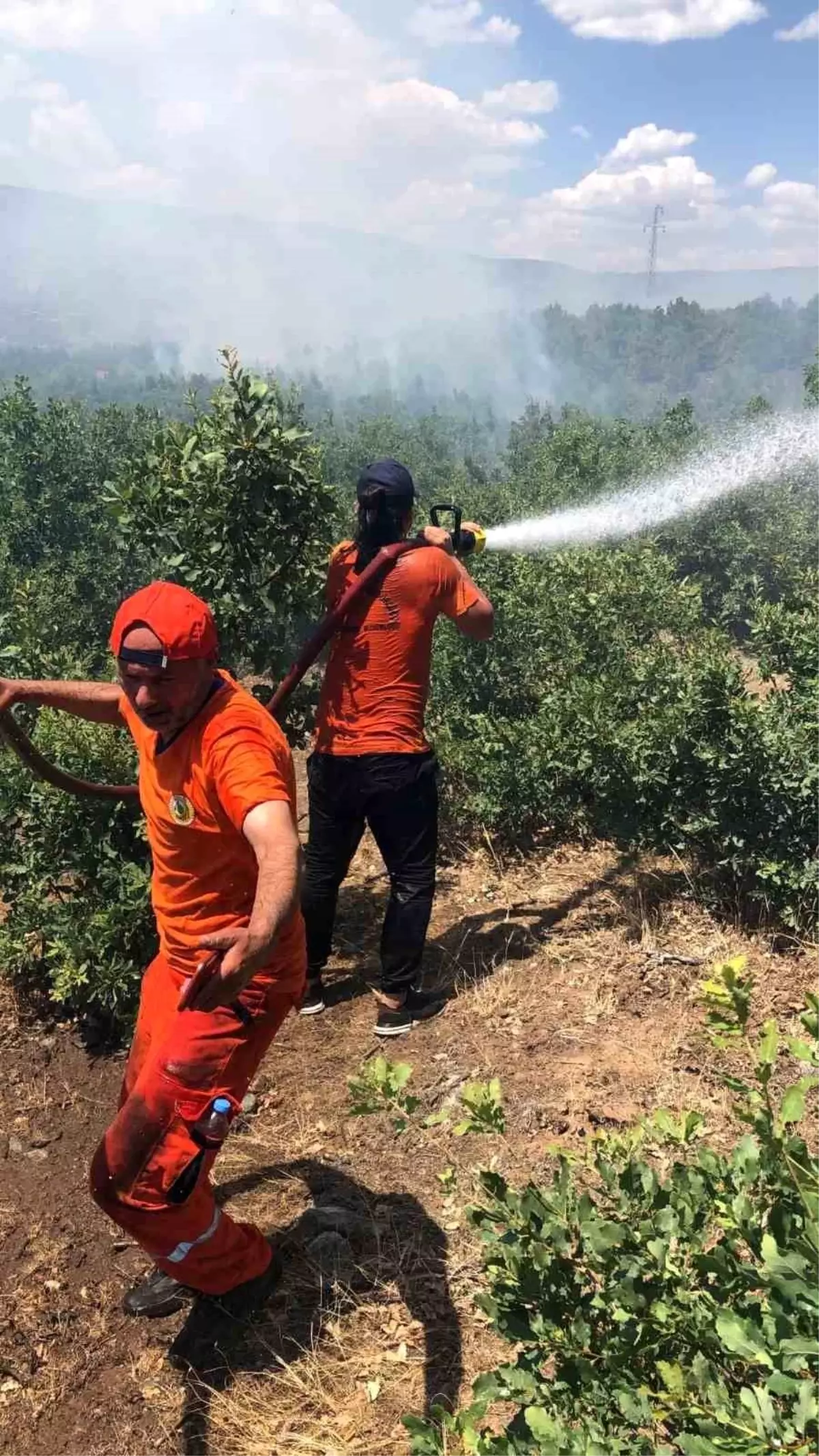 Bingöl'deki Orman Yangını Kontrol Altına Alındı
