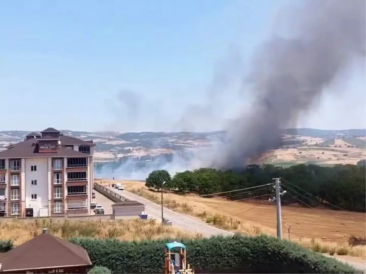 Bursa İnegöl'de Anız Yangınları Korkuya Neden Oldu