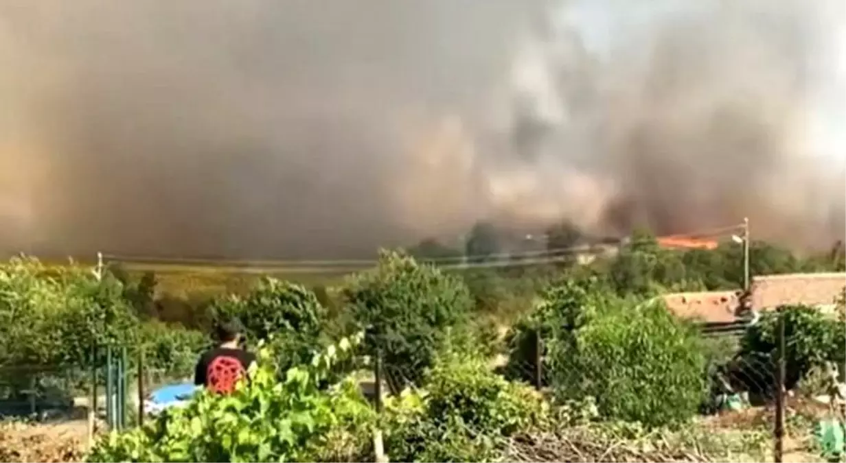 Edirne'de Yangın: 30 Dönüm Buğday Tarlası Kül Oldu