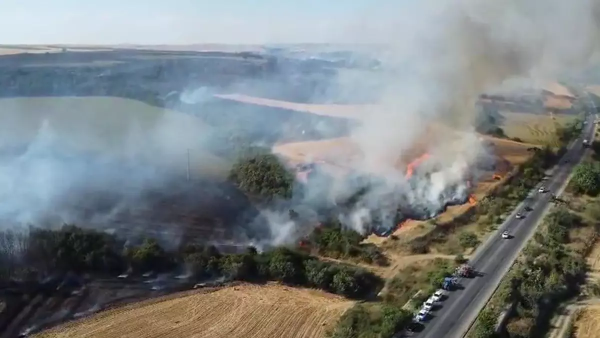 Edirne'de Anız Yangını Sınır Kapısını Tehdit Ediyor