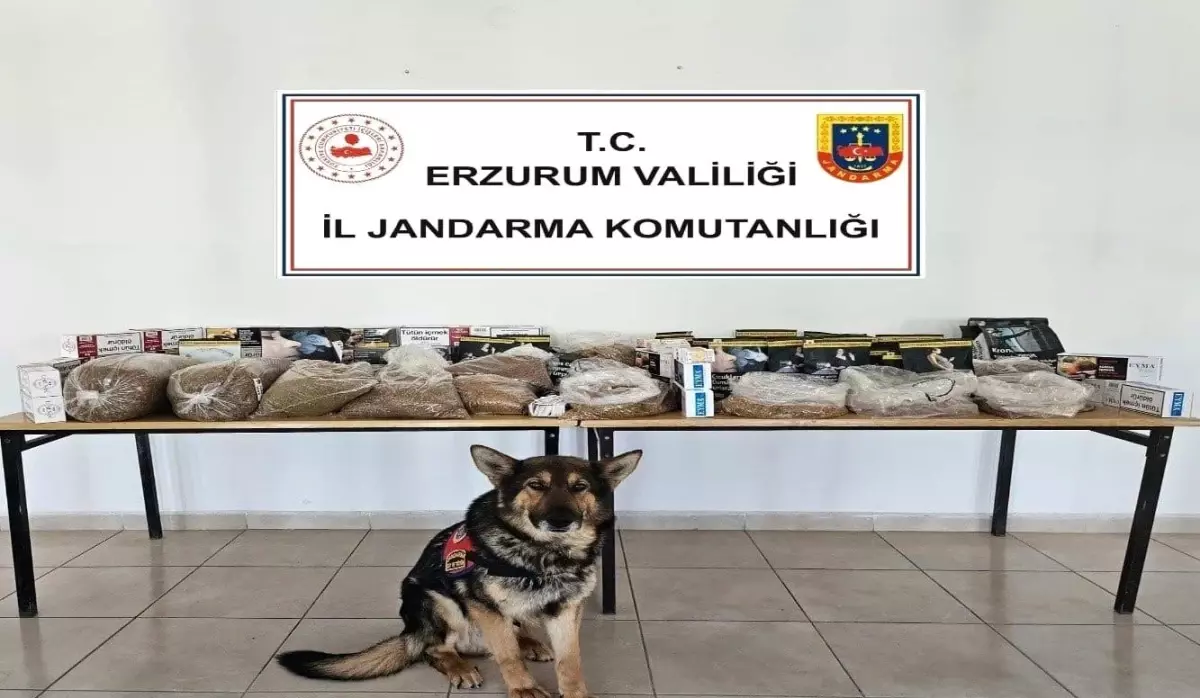 Erzurum'da Kaçakçılara Yönelik Operasyon: 12 Şüpheli Yakalandı