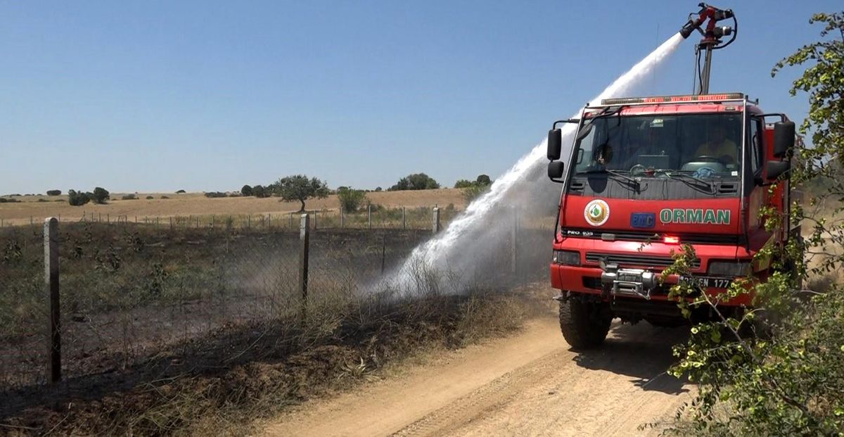 Kırklareli'nde Ceviz Bahçesinde Yangın: 20 Dekar Zarar Gördü