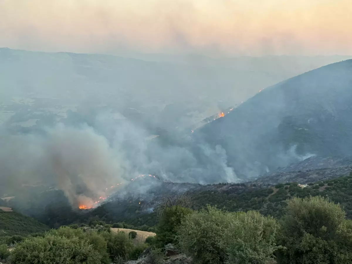 Manisa'da Çıkan Yangın Uşak Sınırlarına Ulaştı