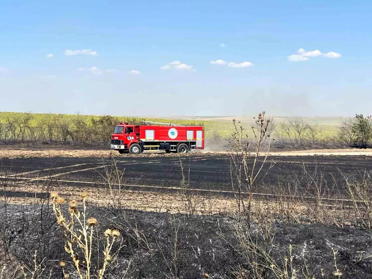 Tekirdağ'da Buğday Tarlasında Yangın: 70 Dekar Alan Zarar Gördü