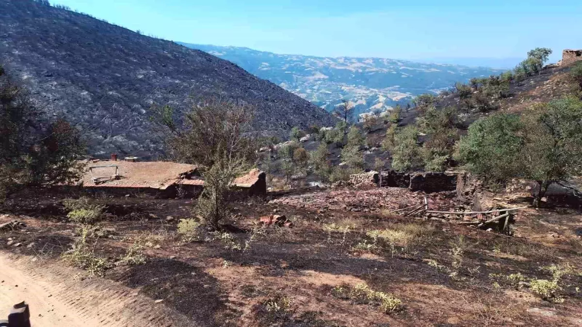 Manisa'da Yangın Felaketi: Evler ve Tarlalar Kül Oldu