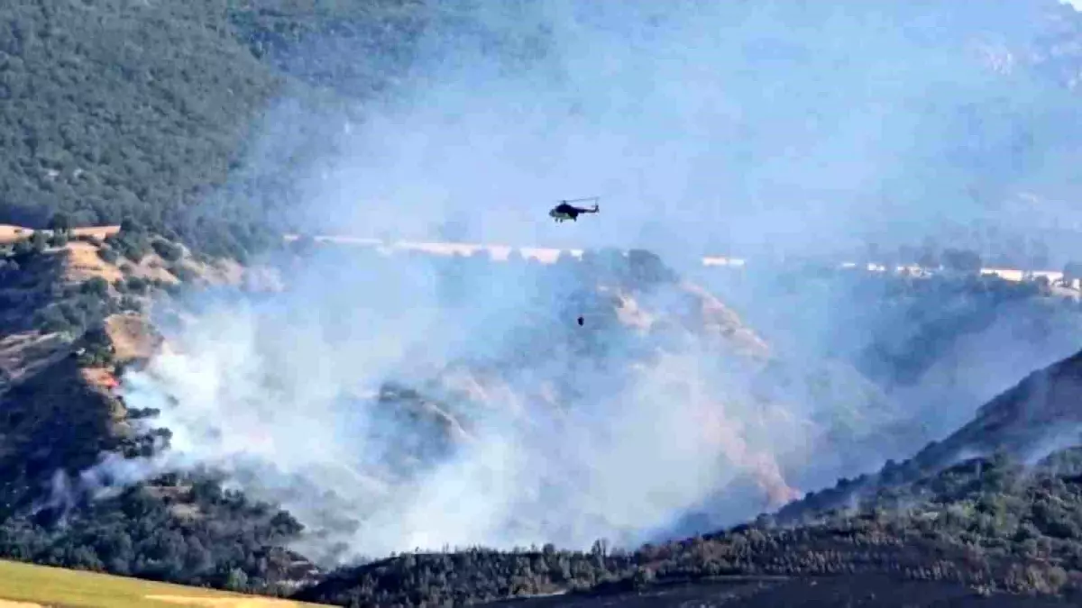 Amasya'da Tarlada Çıkan Yangın Ormana Sıçradı