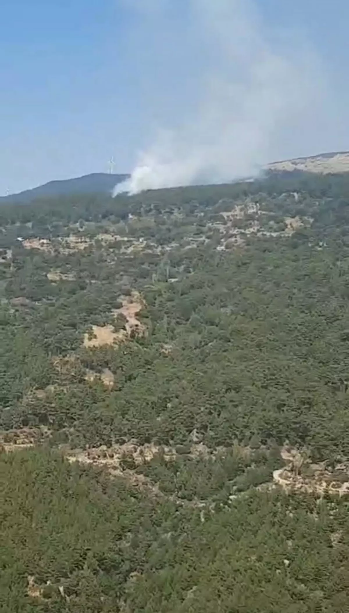 Aydın Çine'de Orman Yangını