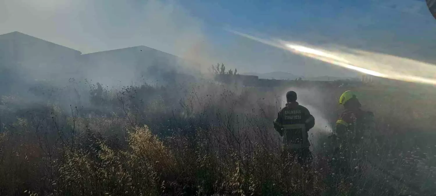 Bandırma'da Yangınlar Kontrol Altına Alındı