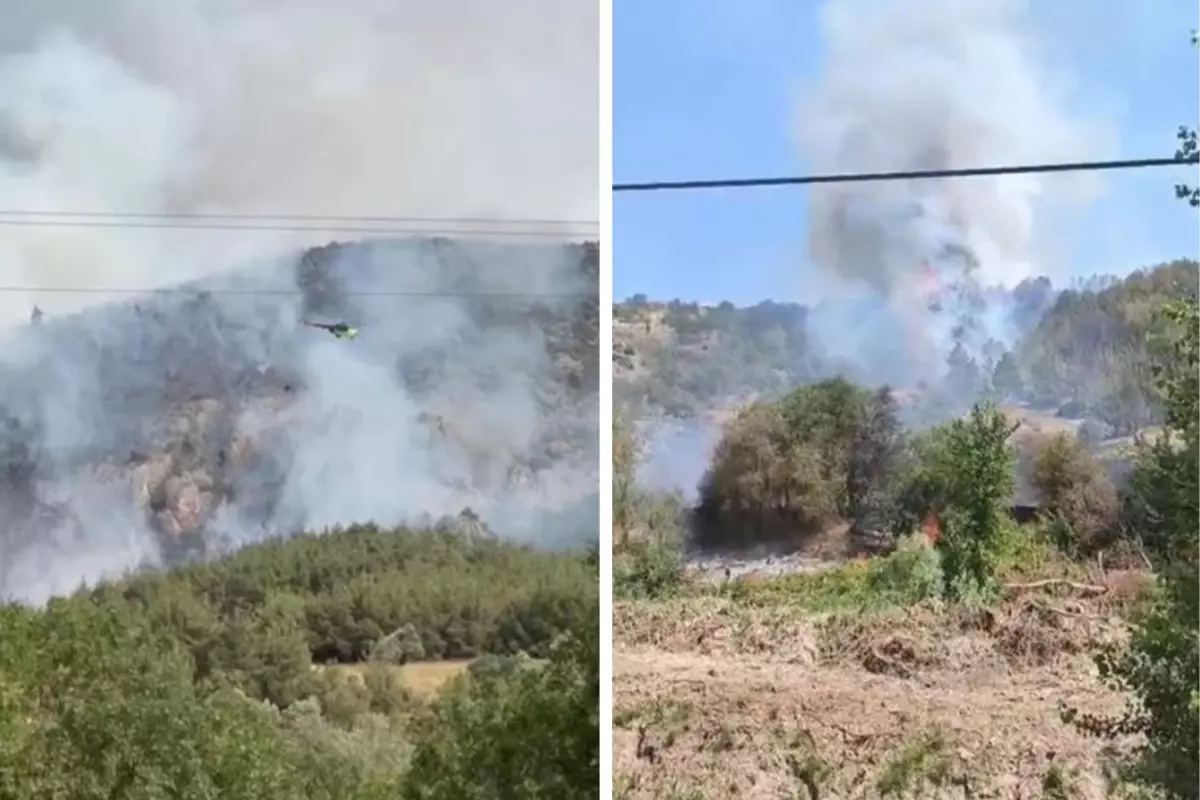Bilecik'te iki ayrı noktada orman yangını
