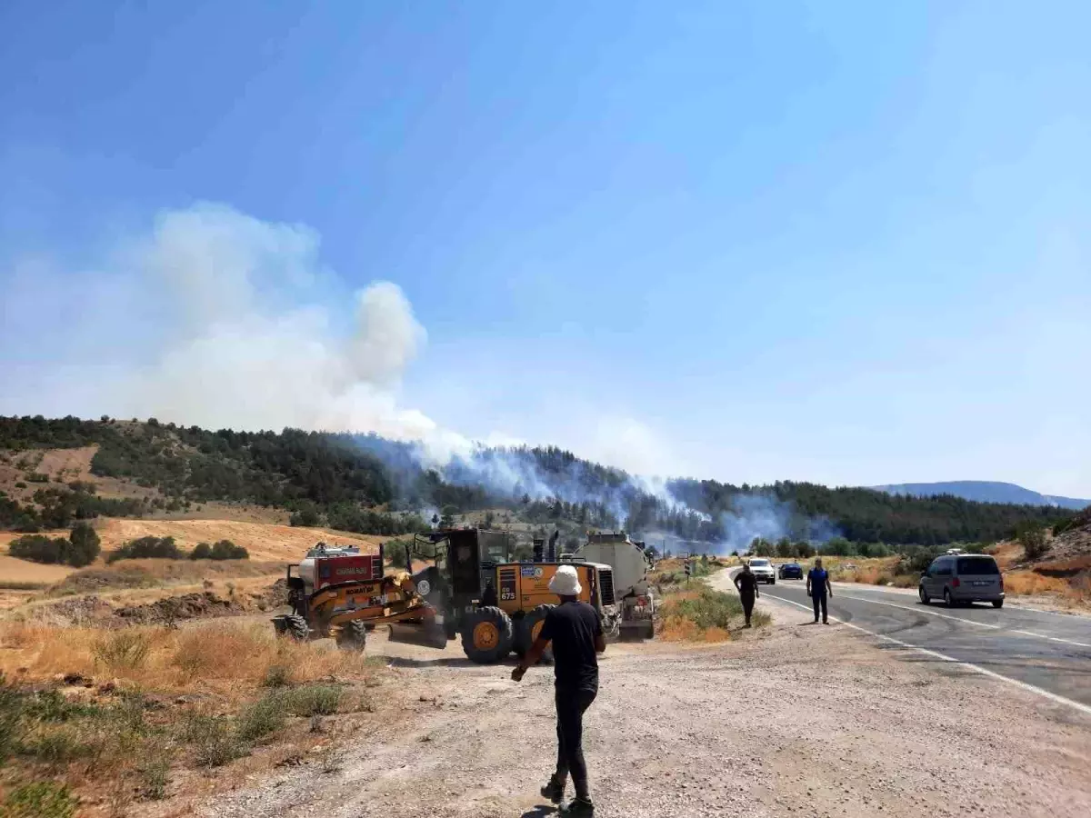 Bilecik'te Orman Yangını: Ekipler Mücadele Ediyor