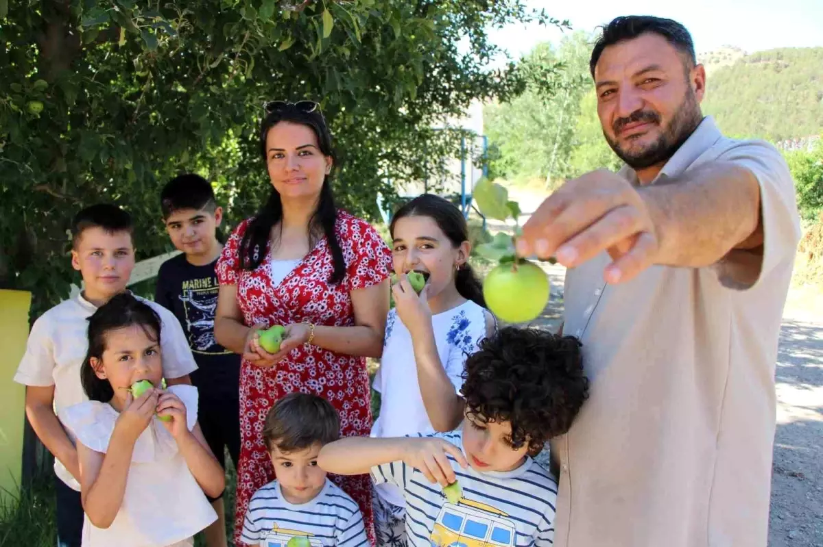 Amasya'da Dondan Koruma Sistemiyle Ücretsiz Elma İkramı