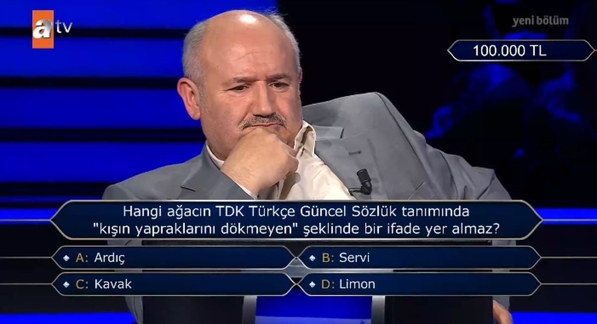 Hangi ağacın TDK Türkçe Güncel Sözlük tanımında kışın yapraklarını dökmeyen şeklinde bir ifade yer almaz?