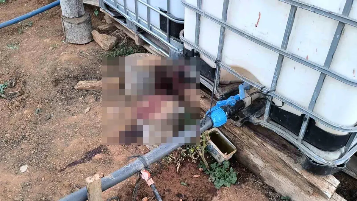 Bahçe Sulama Anlaşmazlığı Kanlı Bitti: Bir Ölü, Bir Yaralı