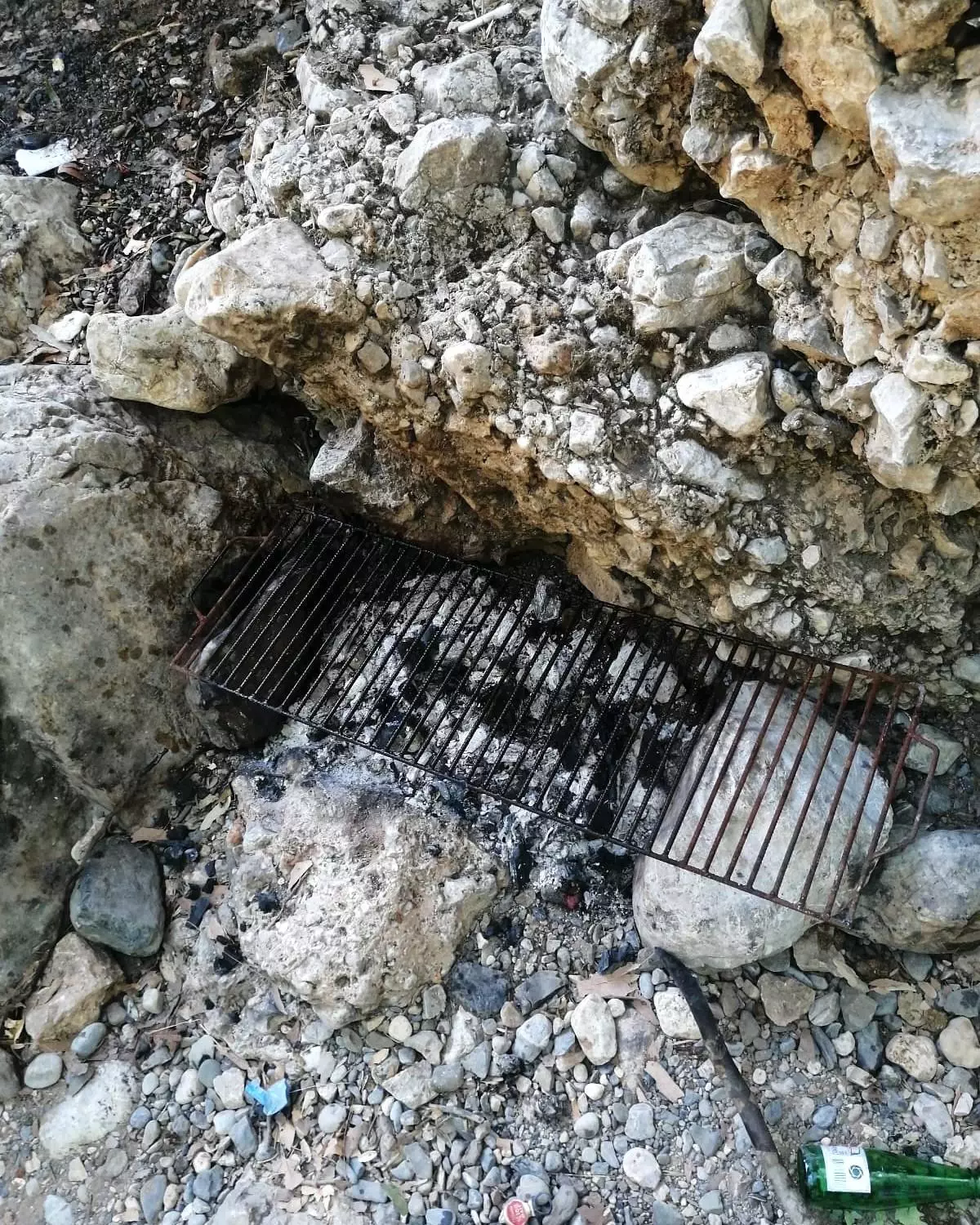 Mersin'de Ormanlık Alanda Piknik Yapanlara İdari Ceza