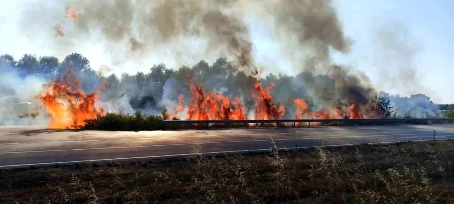 Sakarya'da D-140 Kara Yolunda Yangın Paniğe Sebep Oldu