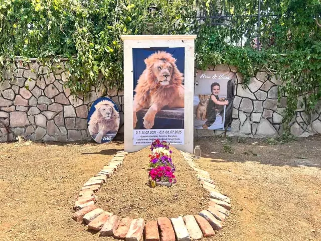 A strange grave from the owner of the lion that attacked the farmer: I see Zeus wherever I look