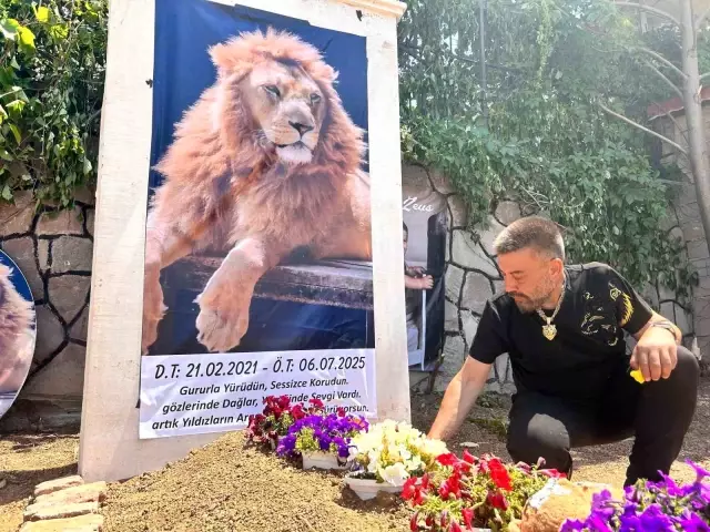 A strange grave from the owner of the lion that attacked the farmer: I see Zeus wherever I look