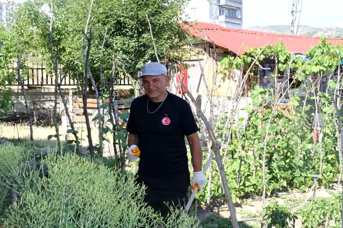 İstanbul'dan Çankırı'ya: 70 Yaşındaki Emeklinin Doğa ile Buluşma Hikayesi