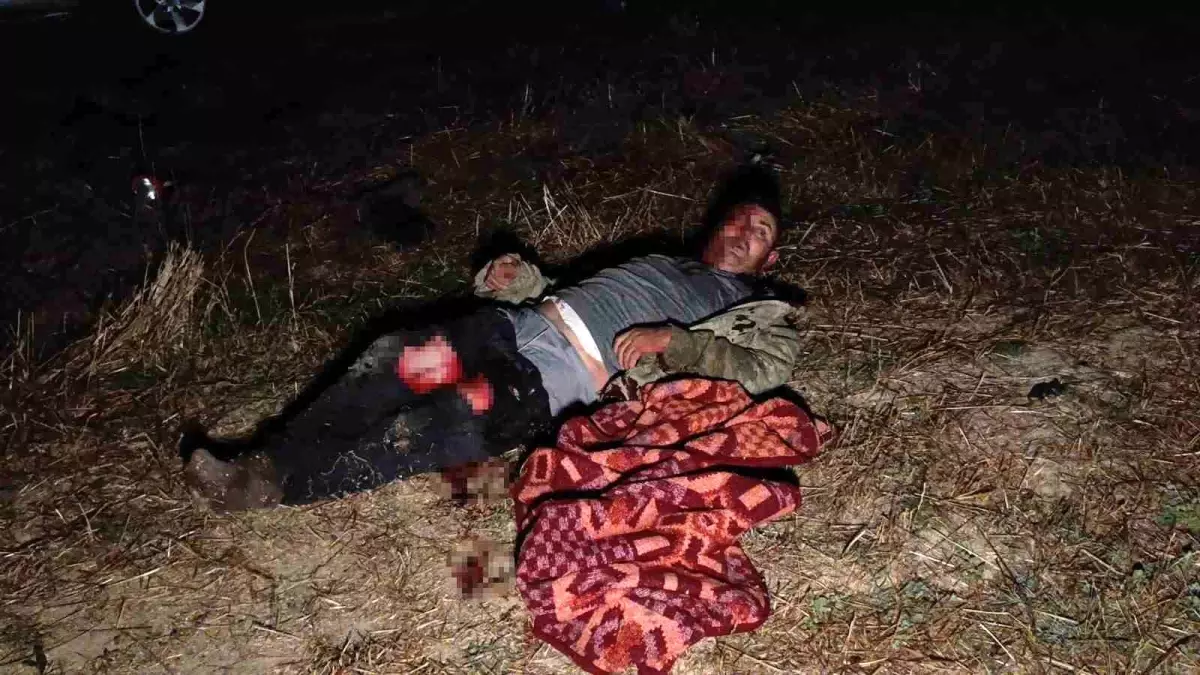 Manavgat'ta Aslan Saldırısı Sonrası Hayvanat Bahçesine Denetim Başlatıldı