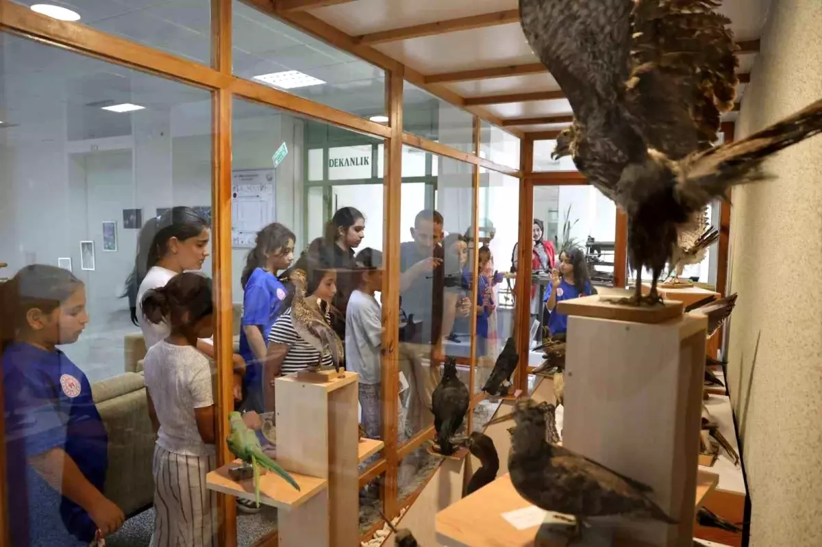 Düzce Gençlik Merkezi Yaz Kulübü Öğrencileri Doğa ile Buluştu