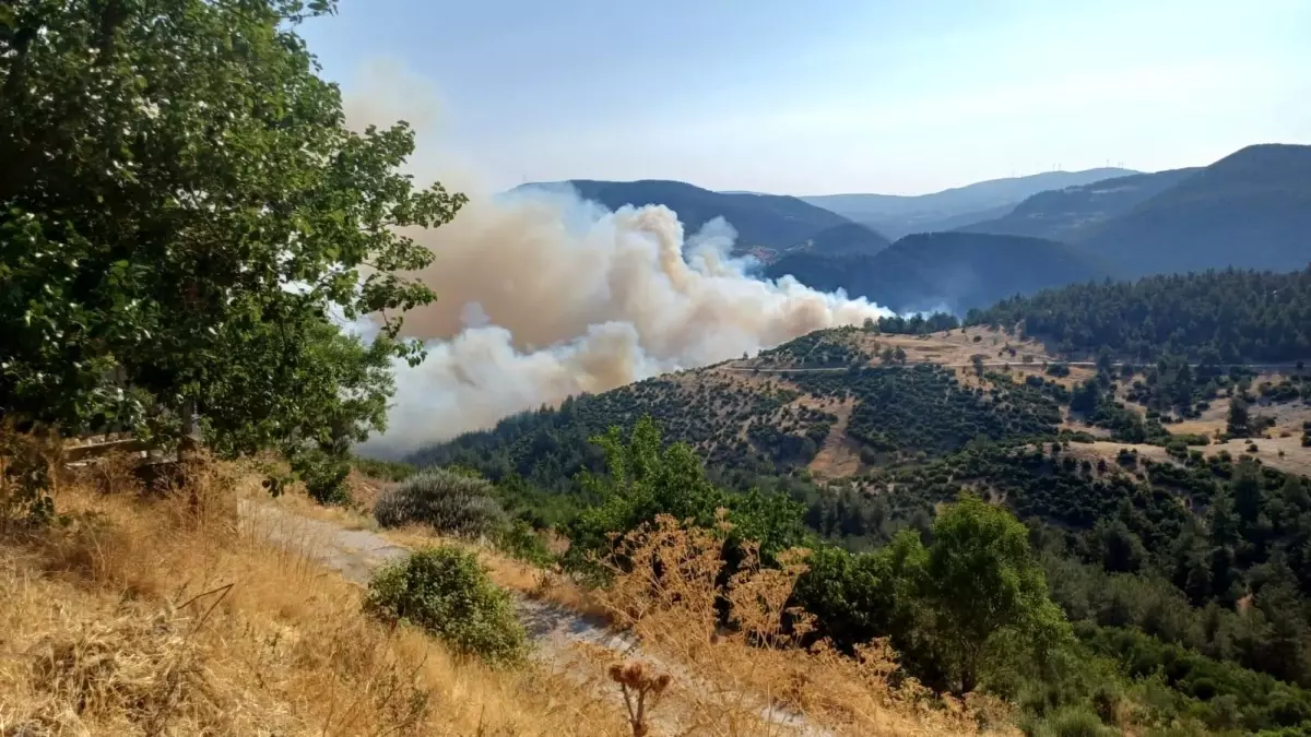 Bursa ve Balıkesir Sınırında Orman Yangınına Müdahale Devam Ediyor