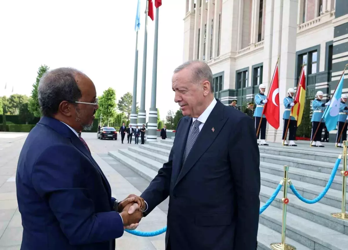 Cumhurbaşkanı Erdoğan, Somali Cumhurbaşkanı Mahmud ile görüştü
