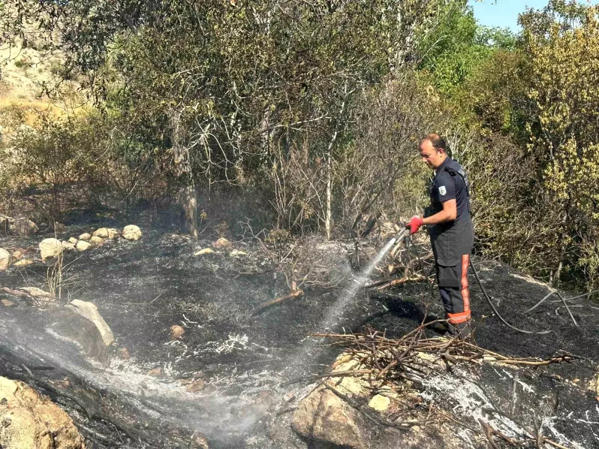 Malatya'da Bahçede Yangın Çıktı, İtfaiye Müdahale Etti