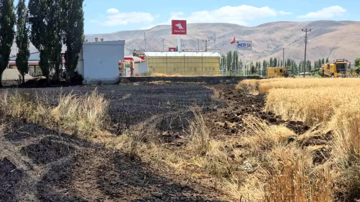 Elazığ'da Yangın: 23 Dönüm Buğday Tarlasını Küle Döndürdü