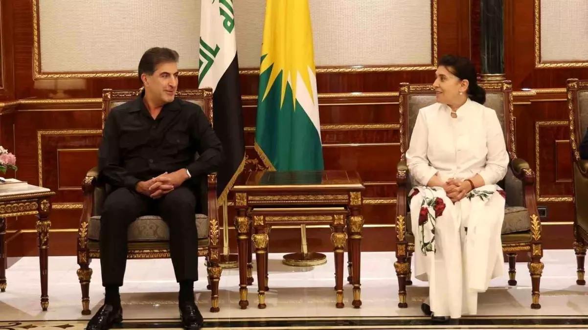 Barzani'den PKK'nın Silah Bırakmasına Destek